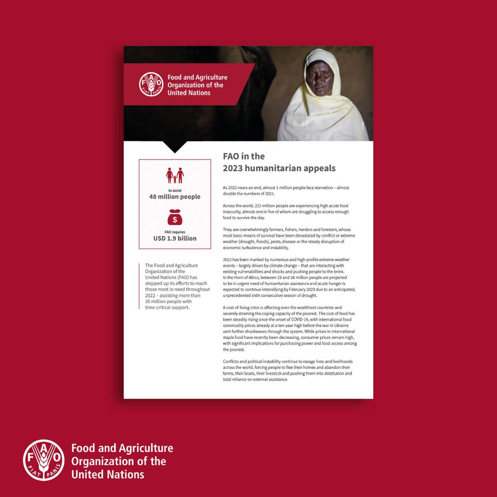 reinpaulsen's tweet photo. It is time to reconsider how the humanitarian community is responding to food crises.

We must be driven by the priorities and needs of those most at risk &amp; be as cost-effective &amp; impactful as possible.

Investing more in agriculture can be the solution.

https://t.co/QJHBXKUTNo https://t.co/zST7MthDxf