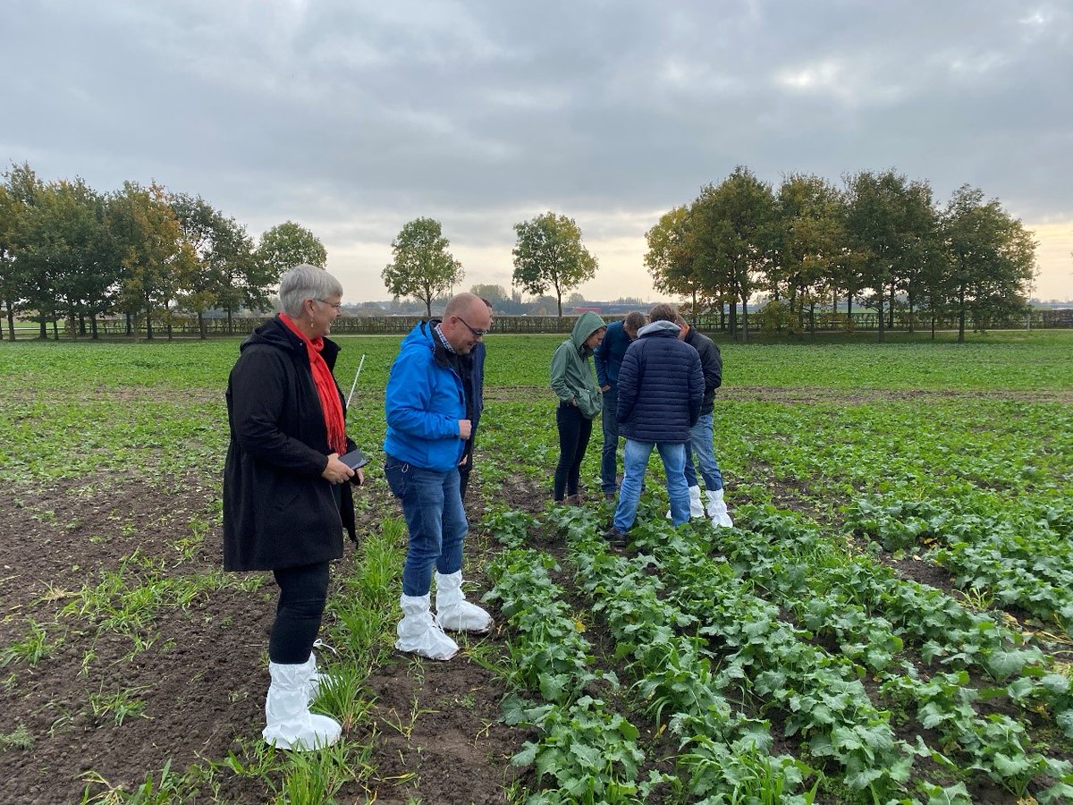 fieldSITES's tweet photo. A multi-functional #stripcropping project at @SITESLonnstorp #agriculture fields- an innovative cropping strategy to increase #biodiversity and reduce external inputs while maintaining yields.
https://t.co/X2DOhEYodg https://t.co/yL9f9baL2J