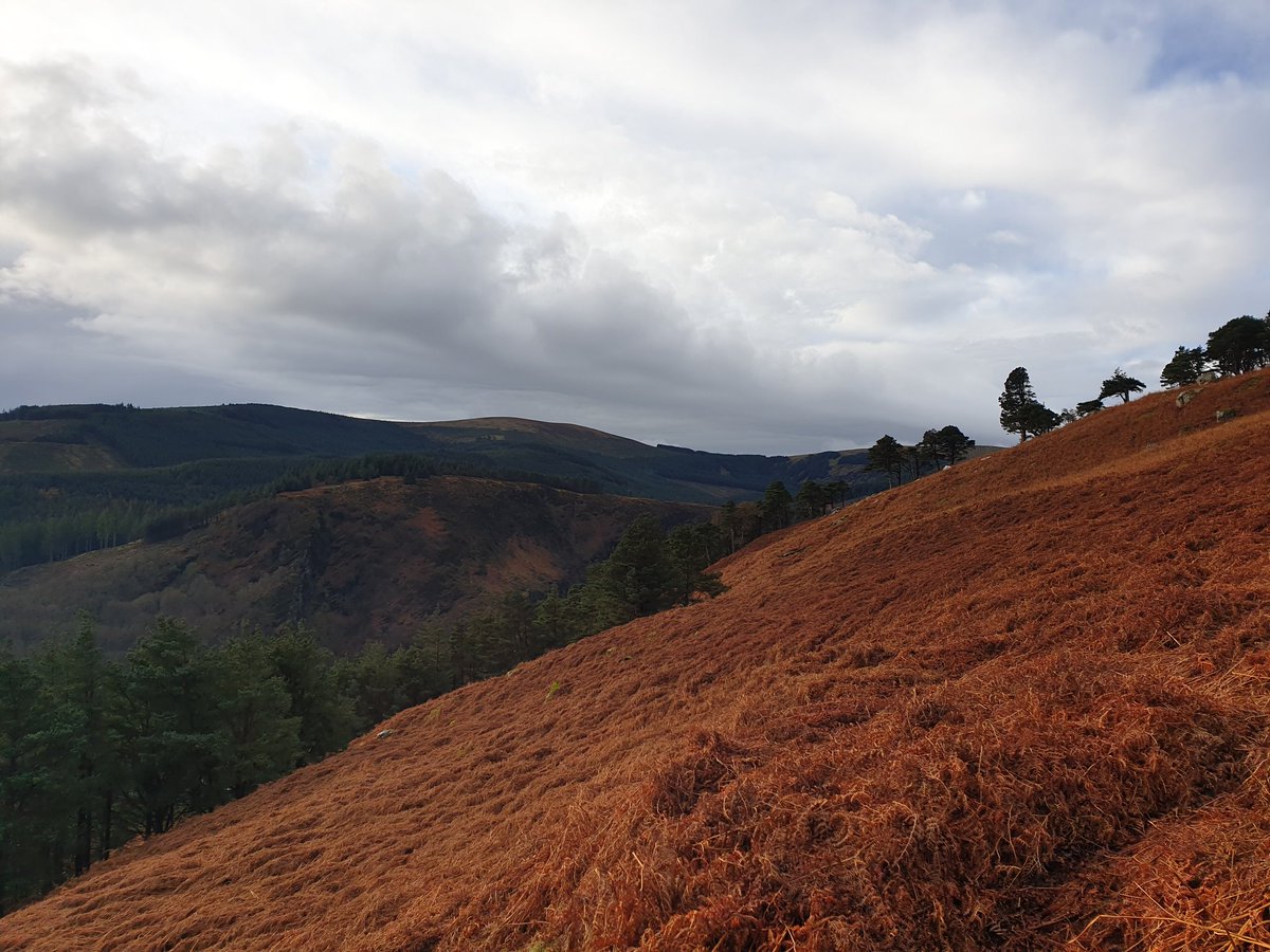 The annual Ian McKeever Memorial Walk will take place from the Upper Car Park in Glendalough on Monday  2nd. of January 2023 at 10.30  a.m. All are welcome.