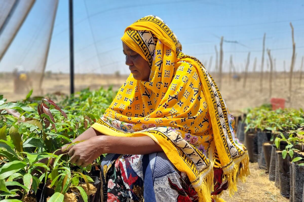 AWARE Weekly Gender and Agriculture News, Resources, and Opportunities: 02 December, 2022 - mailchi.mp/e95ff9944d31/a…
