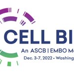 Are you in Washington, DC between 3rd and 7th of December?
Then join us at #CellBio2022 and take the chance to meet with our contamination experts in person.
We are looking forward to meeting you at booth 702. https://t.co/YyptxccIc5 . . . 