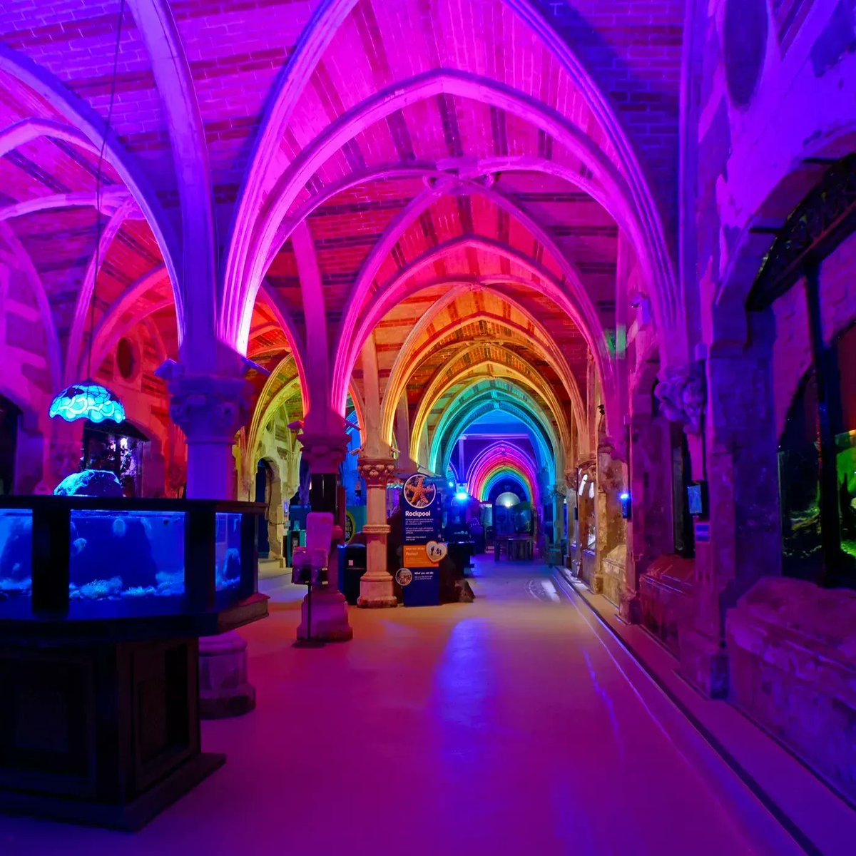 VisitBrighton (@love_brighton) on Twitter photo We are super excited about this!
As <a href="/SEALIFEBrighton/">SEA LIFE Brighton</a> end their 150th anniversary celebrations & start the Christmas holidays, join in with them & take part in a family friendly Silent Disco amongst the fish!
(Headsets suitable age 3+)
Tickets now on sale:
bit.ly/3Ubx47i We are super excited about this!
As <a href="/SEALIFEBrighton/">SEA LIFE Brighton</a> end their 150th anniversary celebrations & start the Christmas holidays, join in with them & take part in a family friendly Silent Disco amongst the fish!
(Headsets suitable age 3+)
Tickets now on sale:
bit.ly/3Ubx47i
