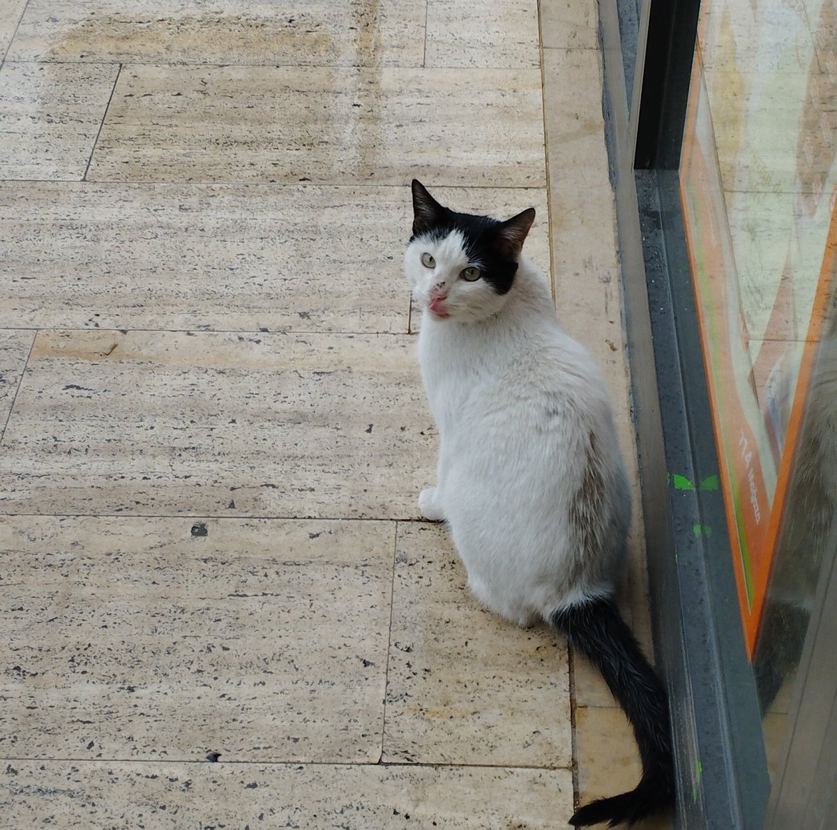 Çeqme gadın soqaq qedosunu kisme begenmsss