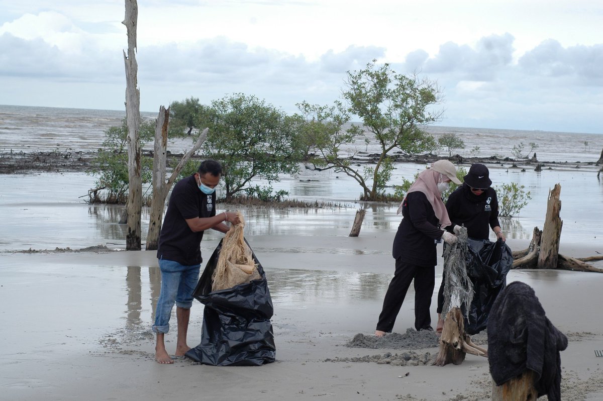 CATScollege's tweet photo. We at CATS College are committed to ensuring our environment is kept clean and healthy🌳🌵On the 12th of November 2022, CATS College initiated a CSR project with MySayang Foundation to clean up the beach located at Pantai Batu Laut, Tanjung Sepat. Love the enviroment as we do🌊🐬 https://t.co/cJQDcVubkY