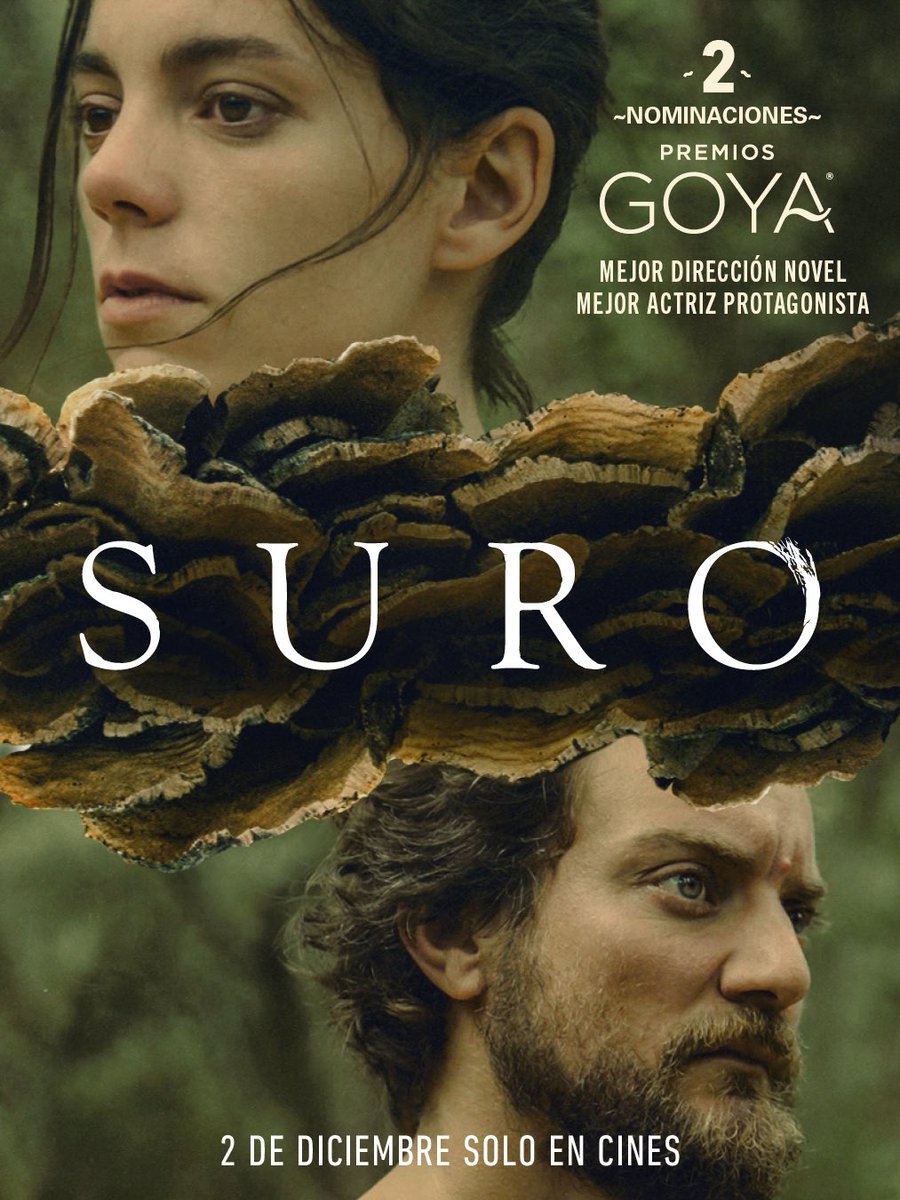 En un año de mucha aproximación del cine español a lo rural, yo me quedo con la extraordinariamente sugerente SURO, una ópera prima radical y potentísima que escapa de ciertos tics y subvierte constantemente las expectativas. La nom ayer de Luengo me hace feliz. Hoy estreno.