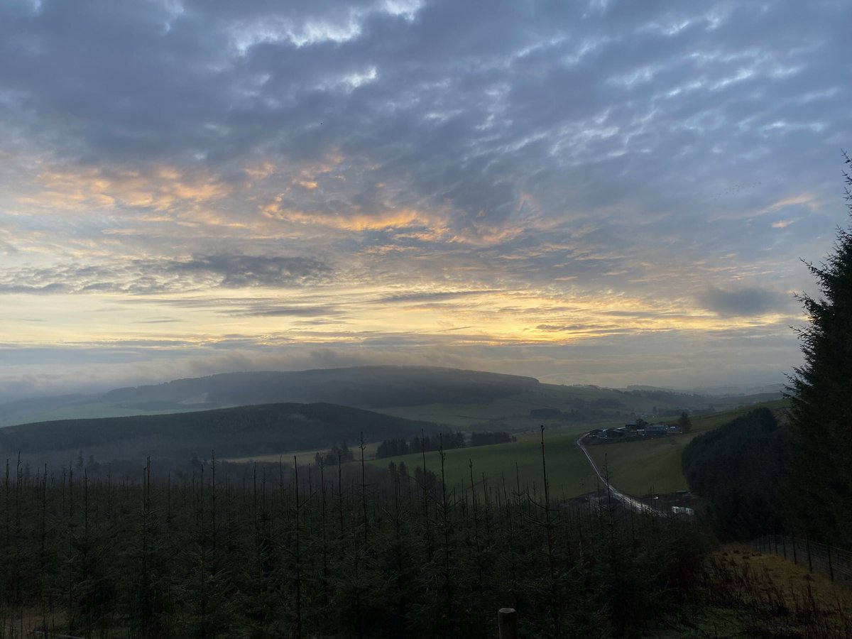 Morning walk ❤️
#aberdeenshire #scotland #sunrise #scenicroutes