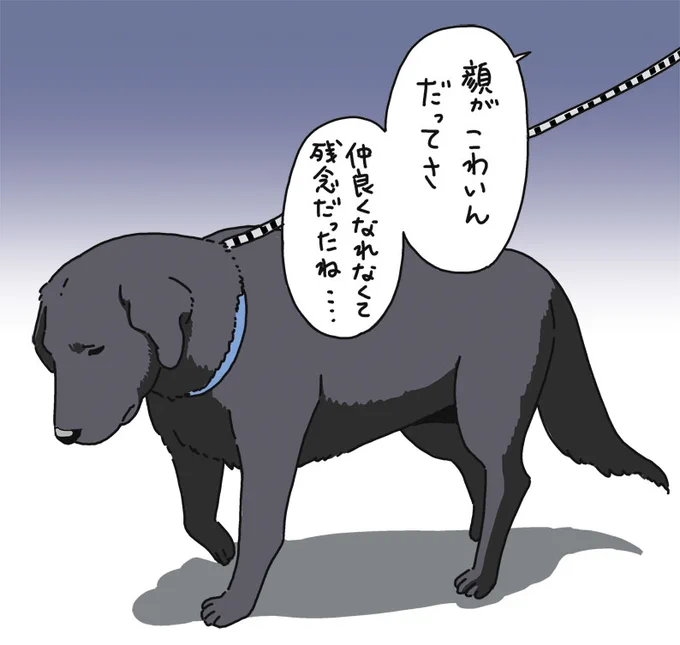 今日みかけた、おそらく幼児か犬に拒否された帰りの犬 