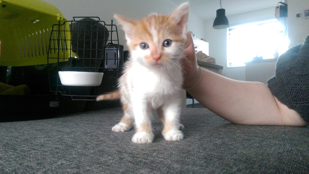 Veerle 🏳️‍🌈 tweet media