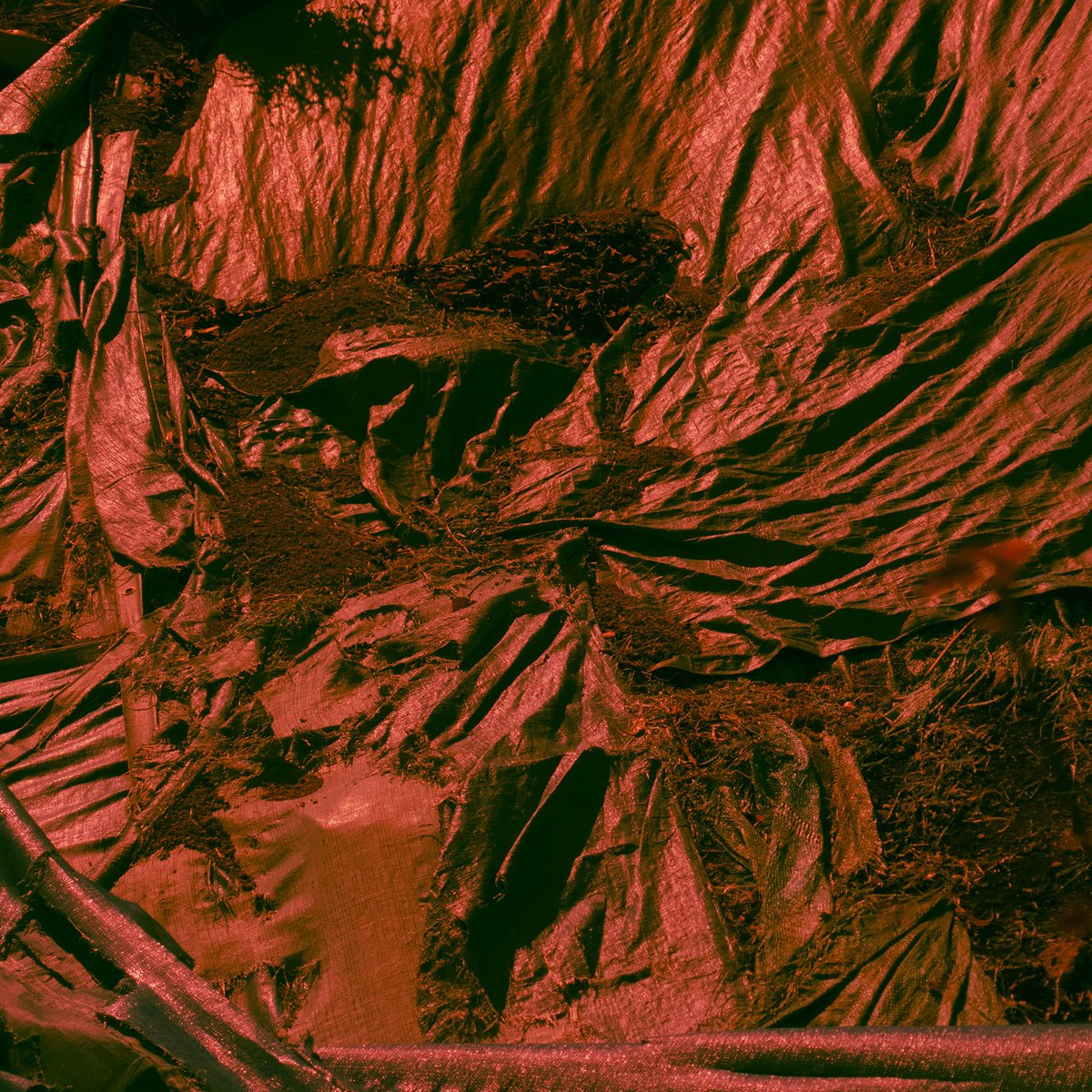 tujiko_noriko's tweet image. I’m very happy to announce that my new album Crépuscule I &amp;amp; II will be released on January 13th 2023 on @editionsmego ✨ Available as 2CD, digital and double-cassette.

tujikonoriko1.bandcamp.com/album/cr-puscu…