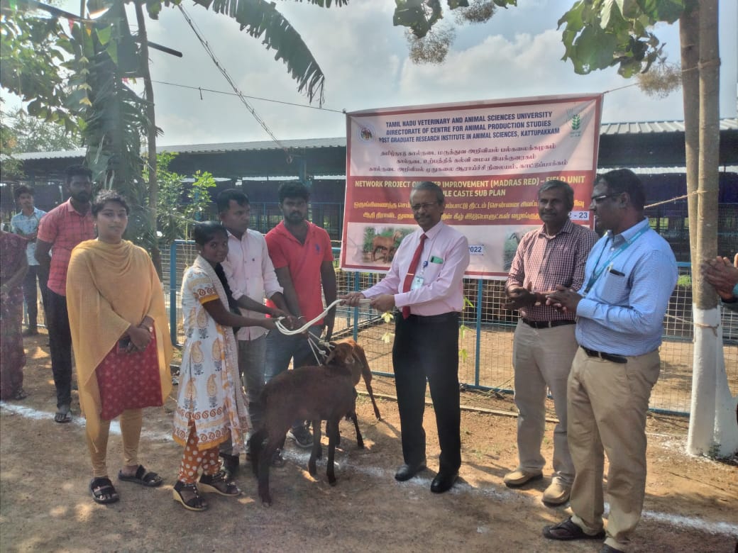 Tamil Nadu Veterinary & Animal Sciences University (@TANUVAS_Tweets) /  Twitter