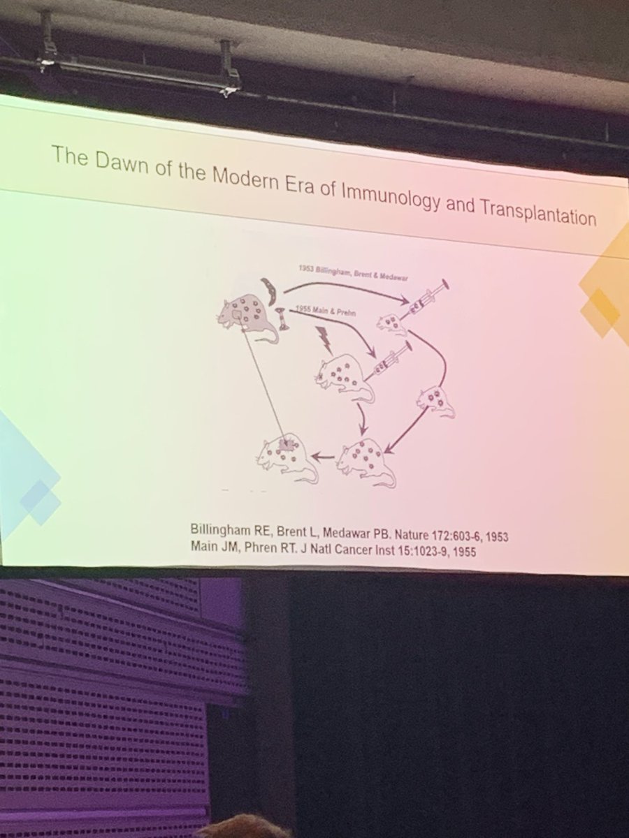 Fascination talk about the origins of Xenotransplantation by Prof Chris McGregor at #BSH25