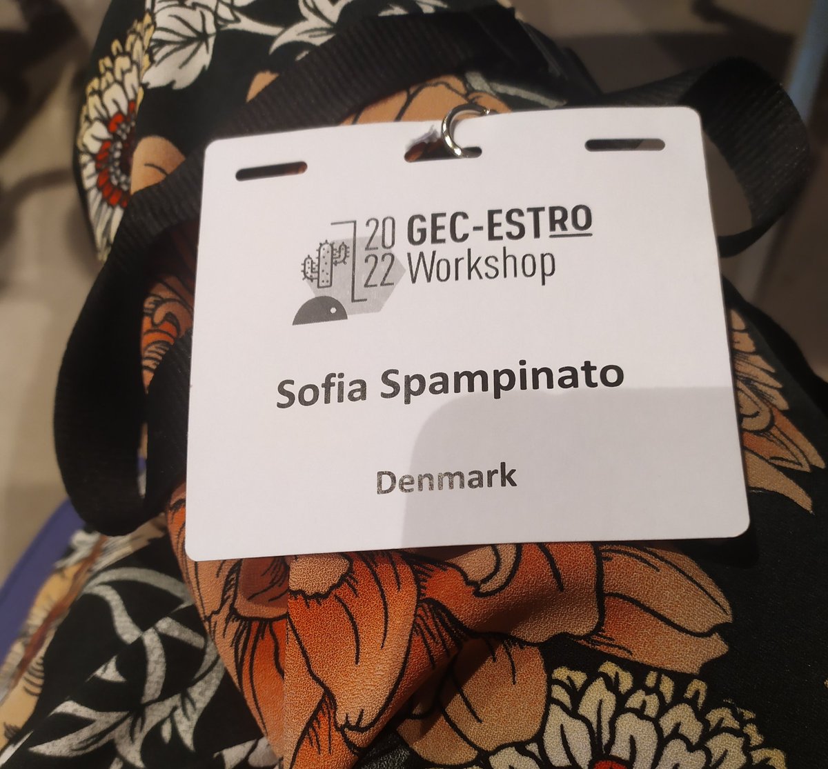 SofiaSpampy's tweet photo. #GECWS22, it's "Nice" to be here, first time live after Budapest 2019! Proud Southern Italian representing Denmark since 2017. Happy to see in person my #Brachy colleagues. Kudos to the Gyn workshop able to blend smoothly online and live contributions from all around the world! https://t.co/ESK1ycGJFr