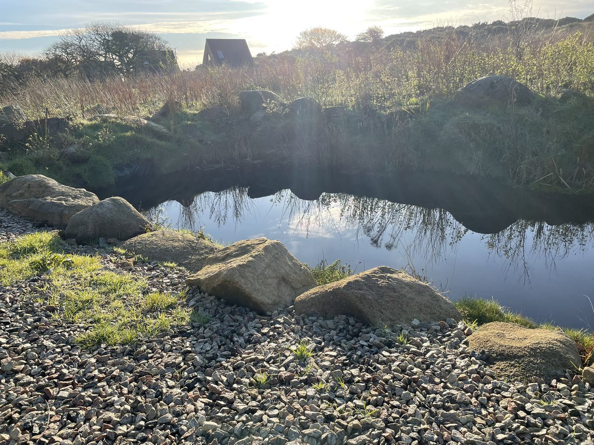 tevicornwall's tweet photo. Another glorious morning, this time supporting landowners with woodland creation.

#forestforcornwall #NationalTreeWeek #cornwall #environmentalgrowth https://t.co/MPwzwFNGH8