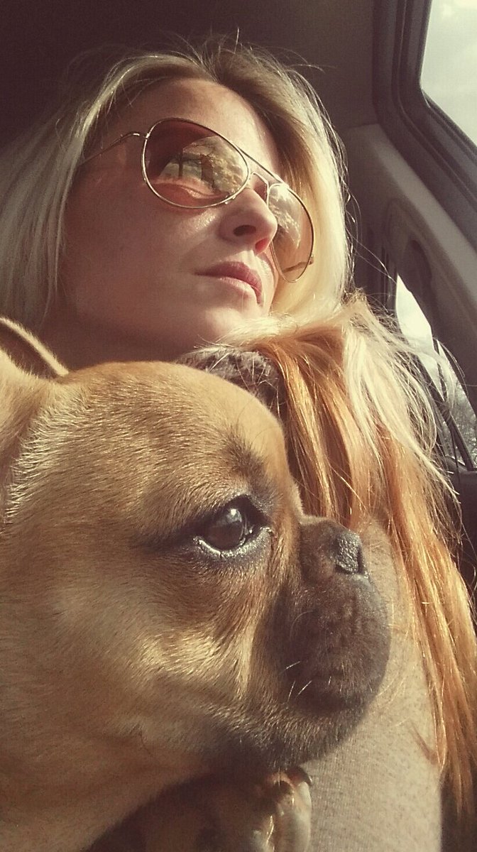 Die Liebe und Treue eines Hundes kann man nicht beschreiben, man muss sie erleben!

Alles alles Liebe und Gute zum Geburtstag du wundervolles Wesen!!!💜💜💜💜💜 Du bist einfach sooo wunderbar!! Ich Liebe dich💜