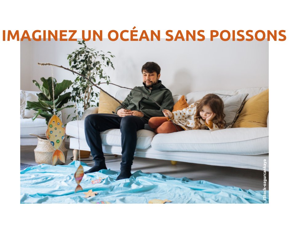 PlaneteMer's tweet photo. [Imaginez un océan sans poissons] Nous avons besoin de votre soutien financier pour agir et continuer à développer nos programmes. Vous souhaitez agir à nos côtés pour préserver la #biodiversité marine, faites un don à #planetemer ↪️
https://t.co/Ca4EyZfvzF https://t.co/9izgTVg6cL
