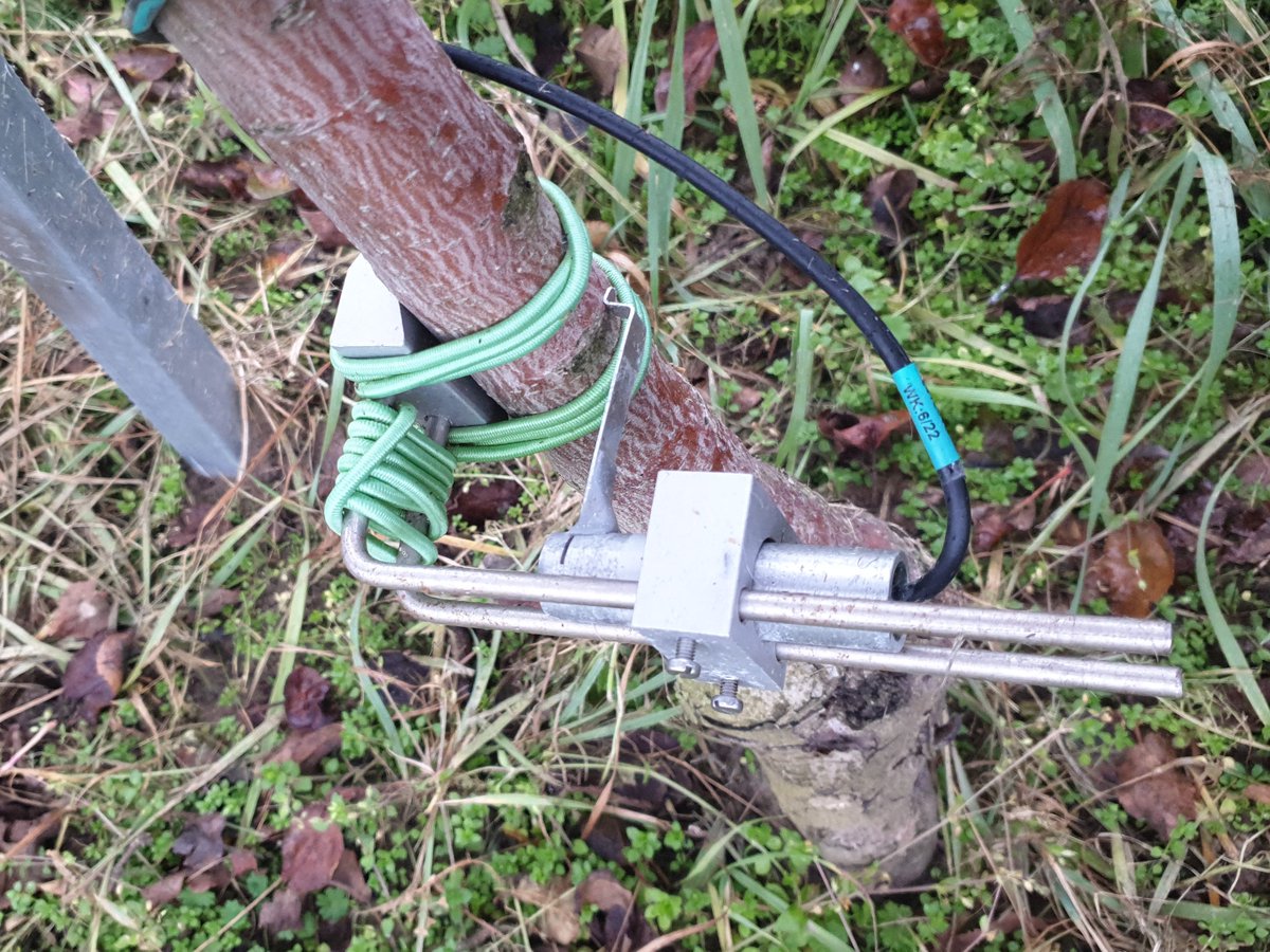 Prec_Hort's tweet photo. #dendrometer provided by Verde smart will work all year round for gaining data in #PRIMA project #IRRIWELL
we use also LiDAR for gaining leaf area data (https://t.co/iqPyF6X5Co) https://t.co/krqhVE6WIF