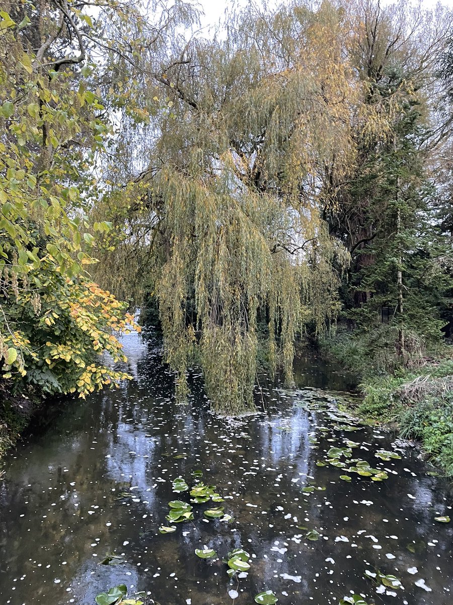 MissStephens tweet media