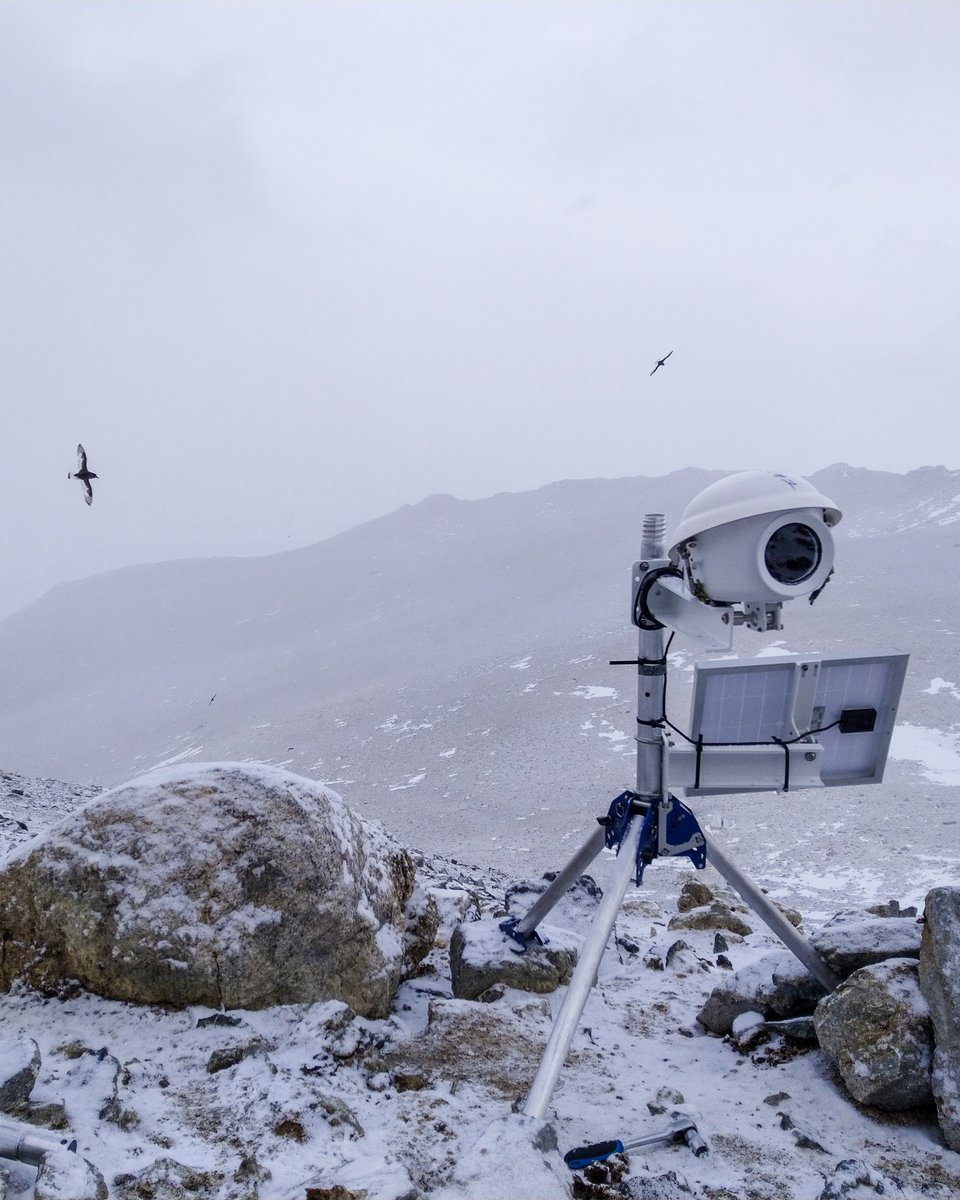 MILESTONE! The very first infrastructure in #TrollObservingNetwork ➡️npolar.no/en/tone/ is now up and running!

The timelapse cameras in the antarctic petrel colony in Jutulsessen are part of the Seabird Monitoring Observatory.

📷Sébastien Descamps/#NorwegianPolarInstitute