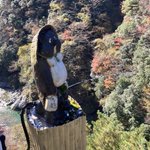 きょうのツイート画像