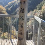 きょうのツイート画像