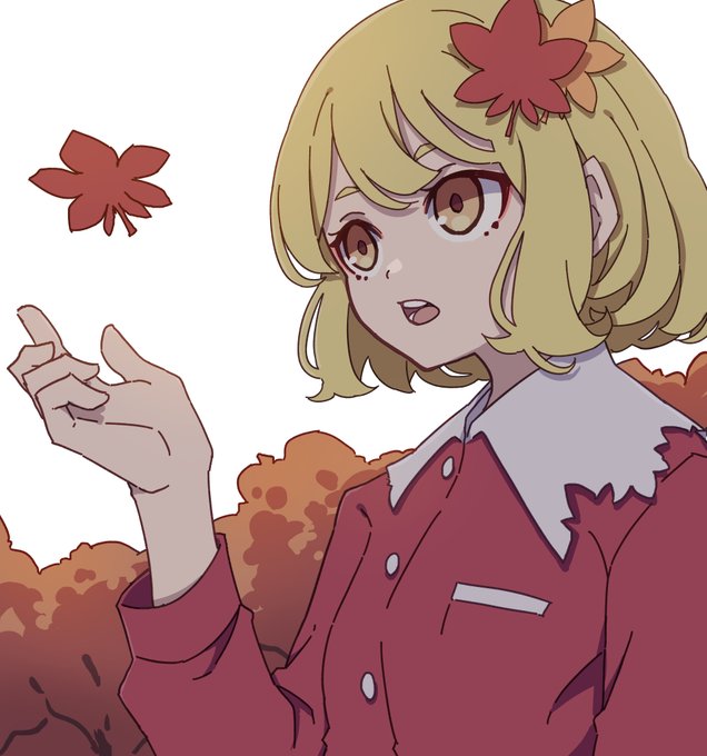 「紅葉 白背景」のTwitter画像/イラスト(人気順)