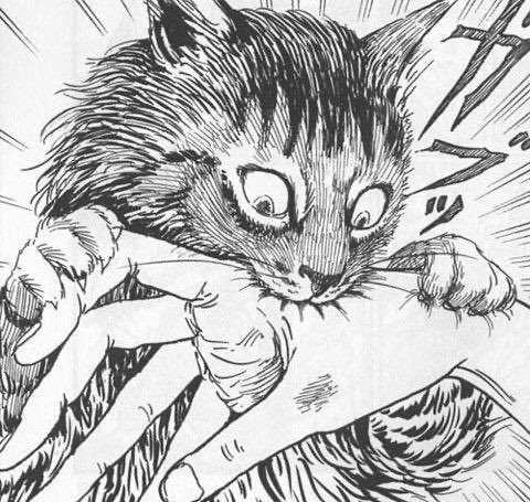 eternaIsouIs's tweet photo. junji ito https://t.co/yyXs5KAudO