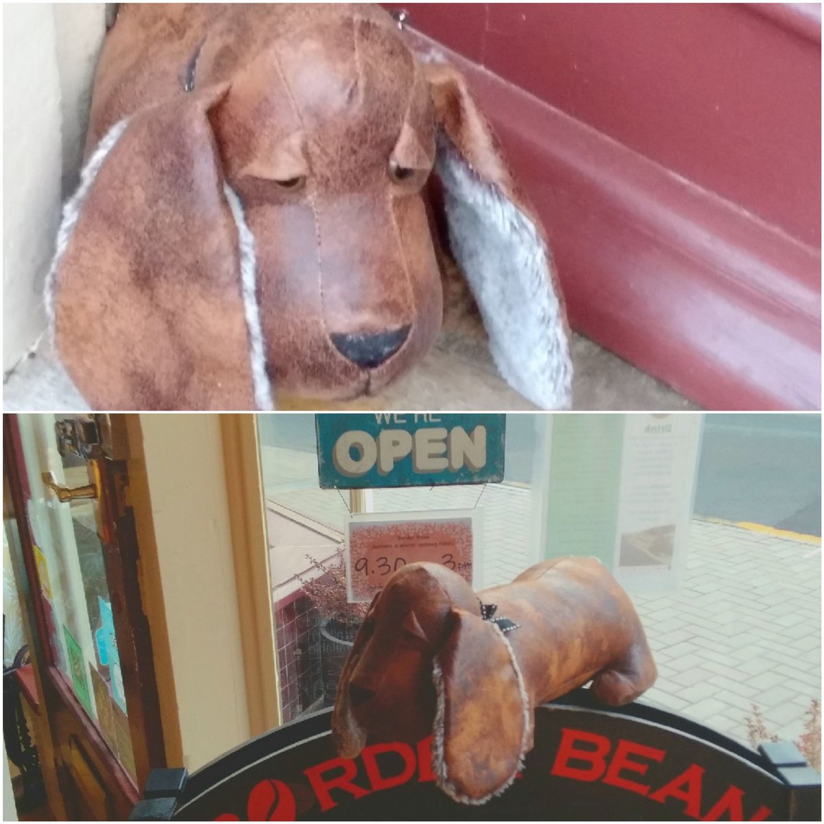 border_bean's tweet photo. Meet our newest member of the team....Doorstep Dog! His role is to keep our front door ajar, for ventilation, whilst minimising wintry chills! https://t.co/jNBbAQM0gx