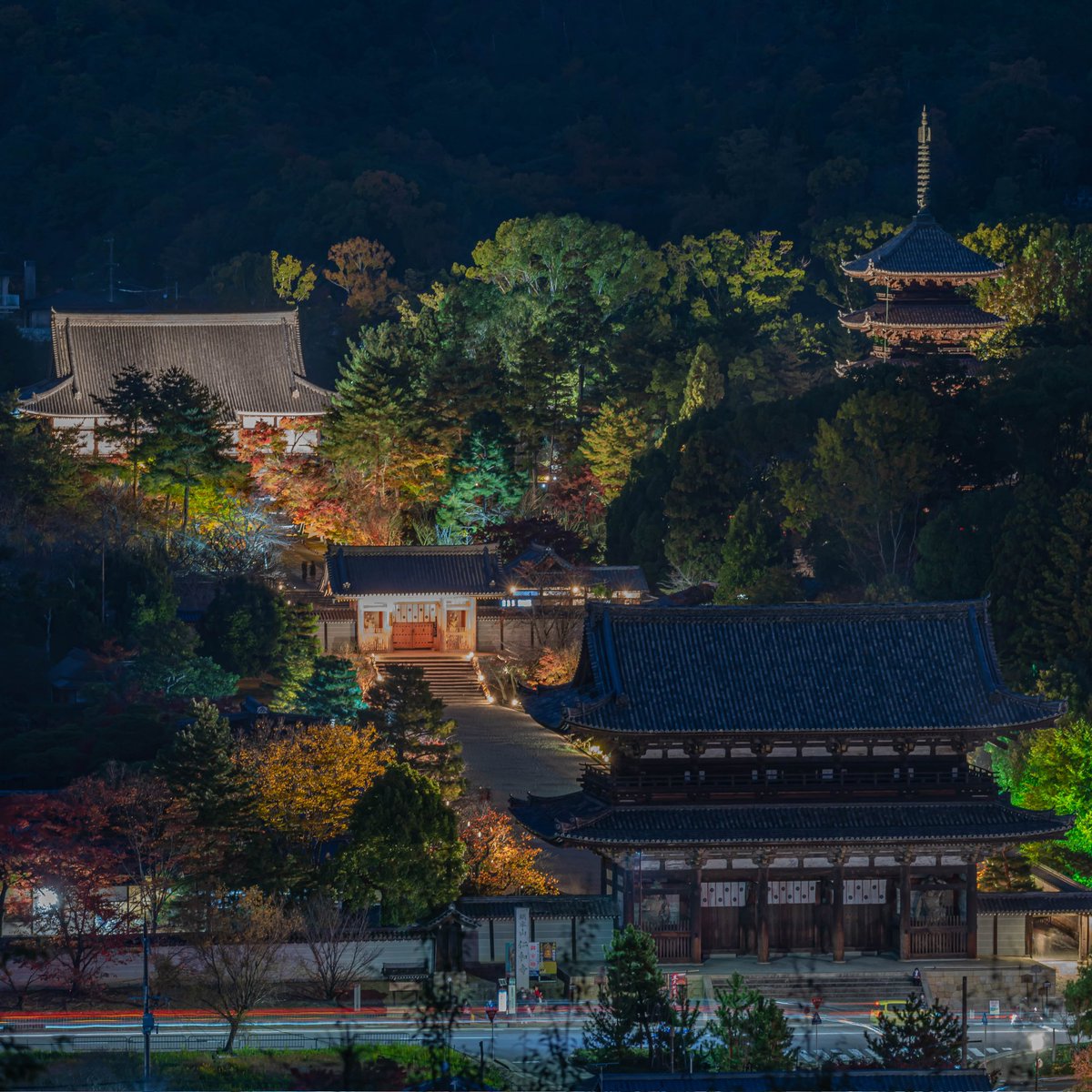 pic7s's tweet photo. 仁和寺
撮影📷️2022.11.19

#仁和寺
#京都
#そうだ京都行こう
#写真好きな人と繋がりたい
#ファインダー越しの私の世界 https://t.co/xAbDKn1joS