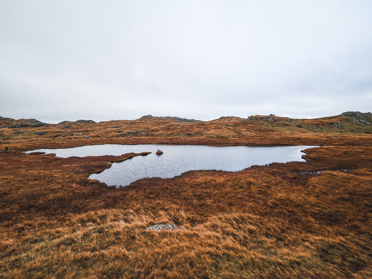 WanderingFiona's tweet photo. When you come across a tarn and think it looks like a heart you just have to take a picture 

#LakeDistrict #tarn #heart #hike https://t.co/2VhJi6polf