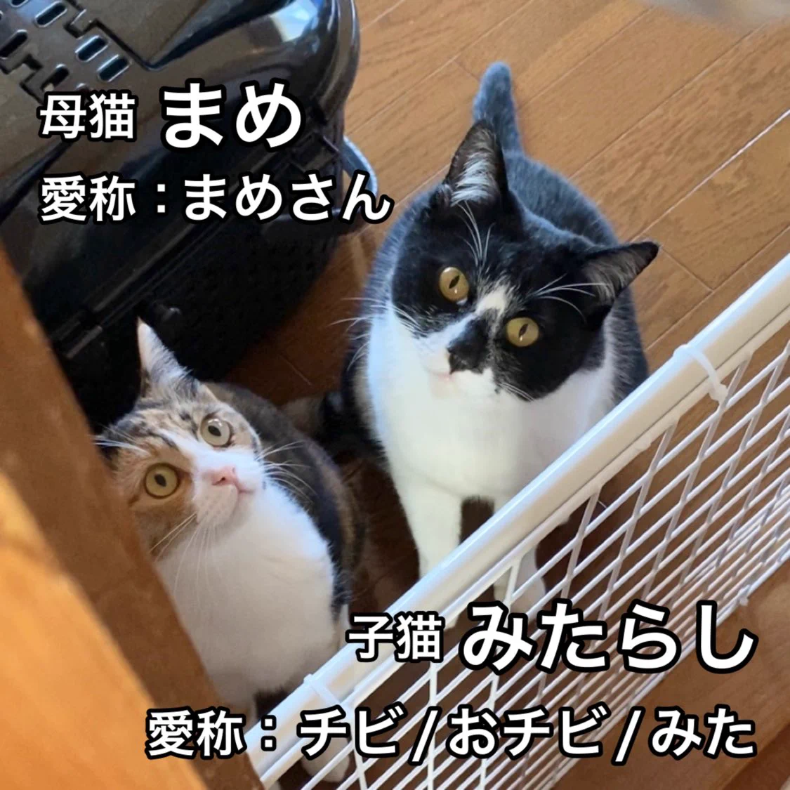 AKR🌱⑧巻発売中 on X: 
