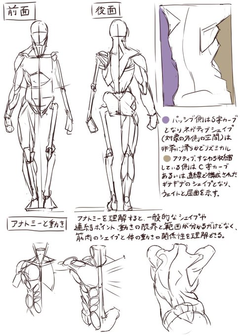 練習55日目
マイケル・ハンプトンの人体の描き方の模写 