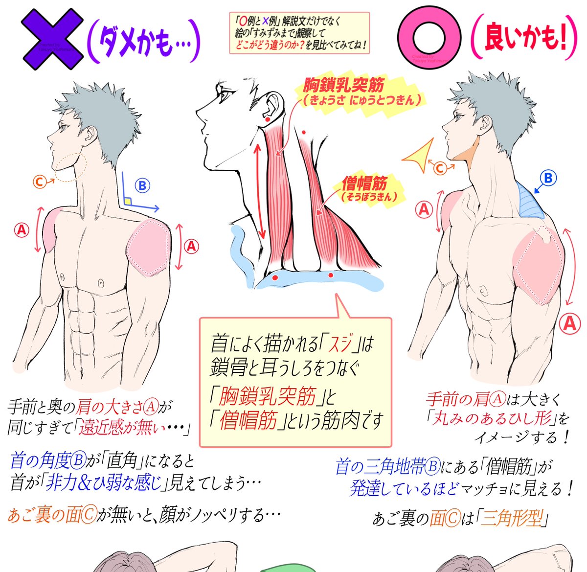 【男性の首まわりと上半身の筋肉講座】

「ダメかも❌」と「良いかも⭕️」

全ページ講座はこちらで見放題👇
https://t.co/THMEoZkzbj

👆【吉村拓也のFANBOX】は
《イラスト講座の図書館📚📚》です
🔥6年間分の500Pの講座がつまってます🔥 