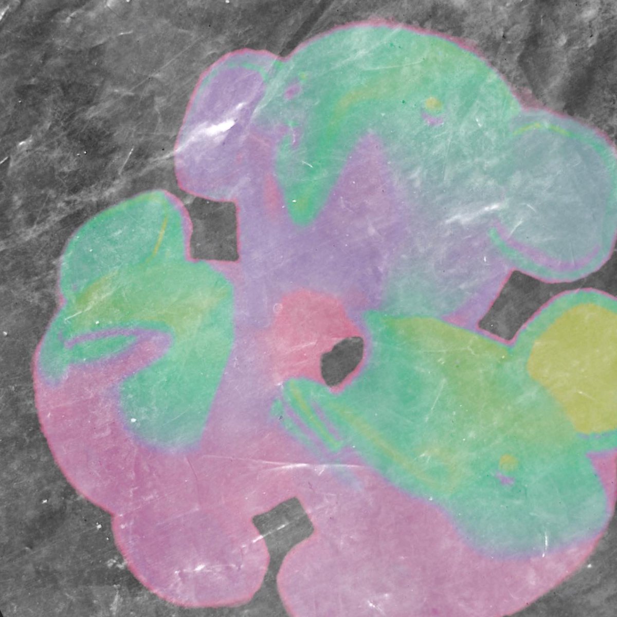 NEW MUSIC BABYYY!!!

Linktree.com/fuckdubs