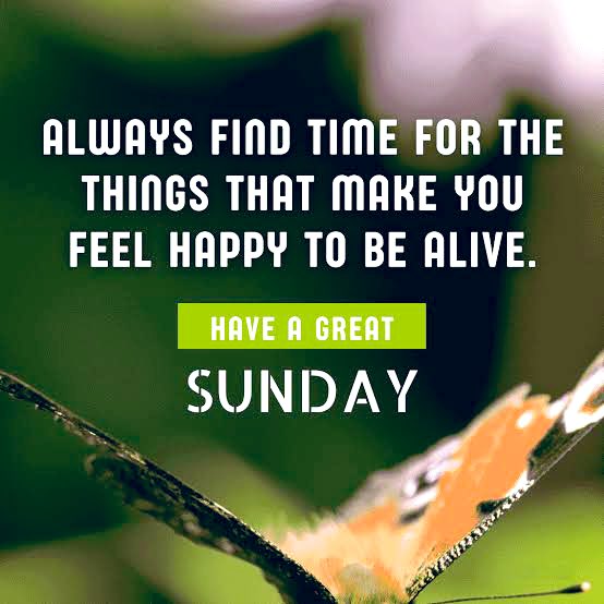 Nelson Ocheger If We Choose A Positive Loving Attitude That Honours All Life And Embraces The Changes As Much As Possible Things Won T Be Quite As Difficult Richard L Nelson Ocheger If We Choose A Positive Loving Attitude That Honours All Life And Embraces The Changes As Much As Possible Things Won T Be Quite As Difficult Richard L