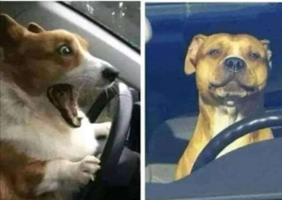 gidylizer's tweet photo. Comrades mlikula #mapocho pocho kwa Insha mka maliza now mnainama 🤗🤗🤗 https://t.co/2c3IydUifc