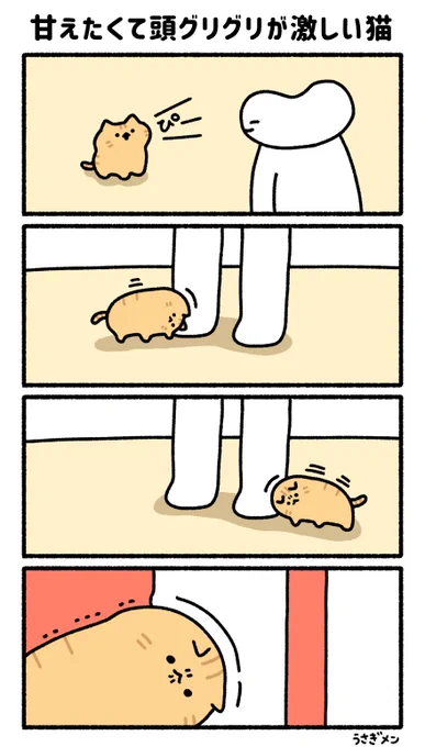 甘えたくて頭グリグリが激しい猫 