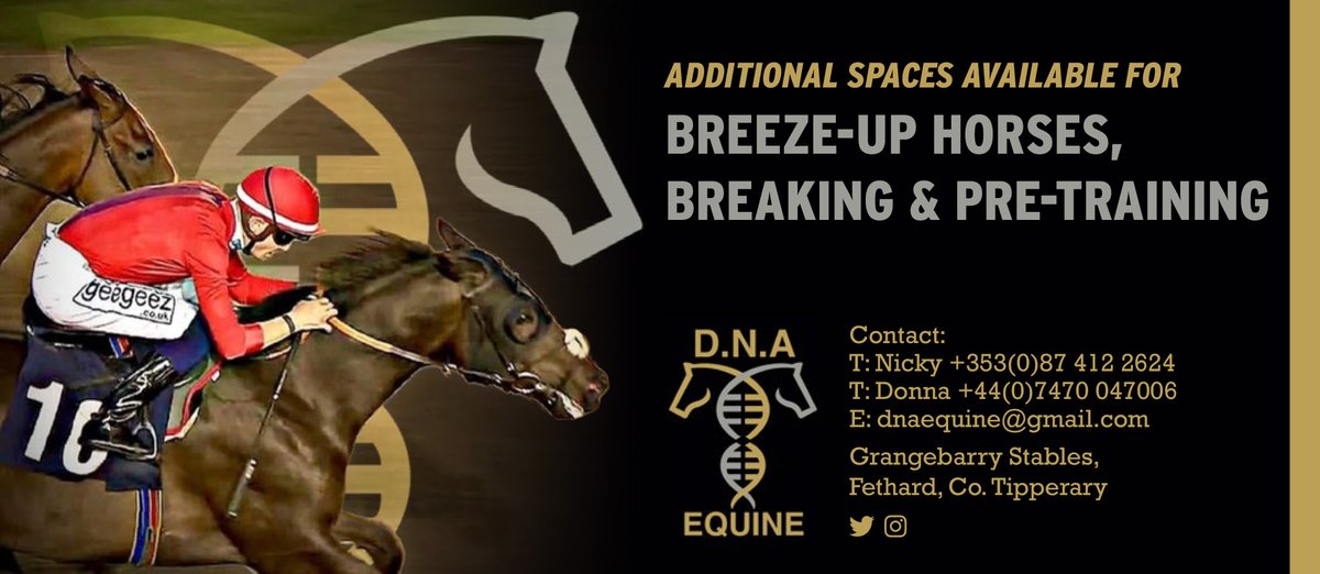 bloodstocknews's tweet photo. 💥 D.N.A Equine - Breeze-Up horses, Breaking &amp; Pre-training

Additional spaces available ⚠️

For more visit ➡️ https://t.co/NzHUdHFRIT #ReadAllAboutIt https://t.co/2Fg5rsDmzz