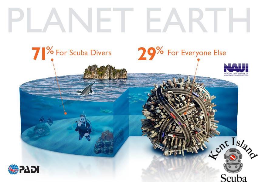 Kent Island Scuba tweet media