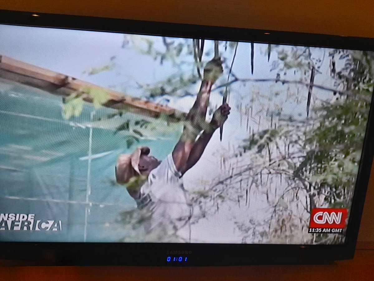 SilverKayondo's tweet image. .@tmsruge This is showing at the sidelines of the Dubai run, and I&apos;m shouting;

&quot;I know that guy and all those brands. Give him all your money.&quot;

#HiveColab #RainTreeFarms #QweziBeauty