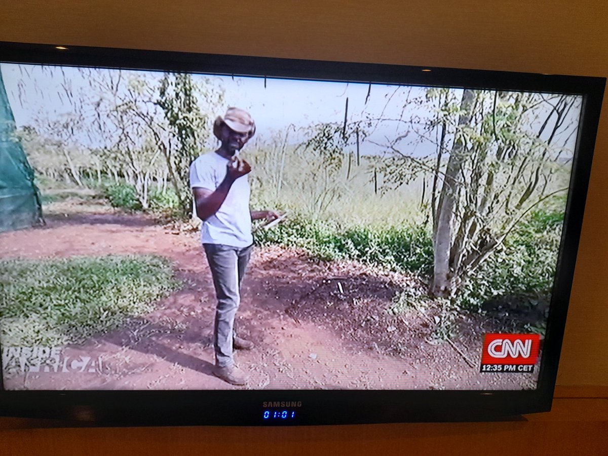 SilverKayondo's tweet image. .@tmsruge This is showing at the sidelines of the Dubai run, and I&apos;m shouting;

&quot;I know that guy and all those brands. Give him all your money.&quot;

#HiveColab #RainTreeFarms #QweziBeauty