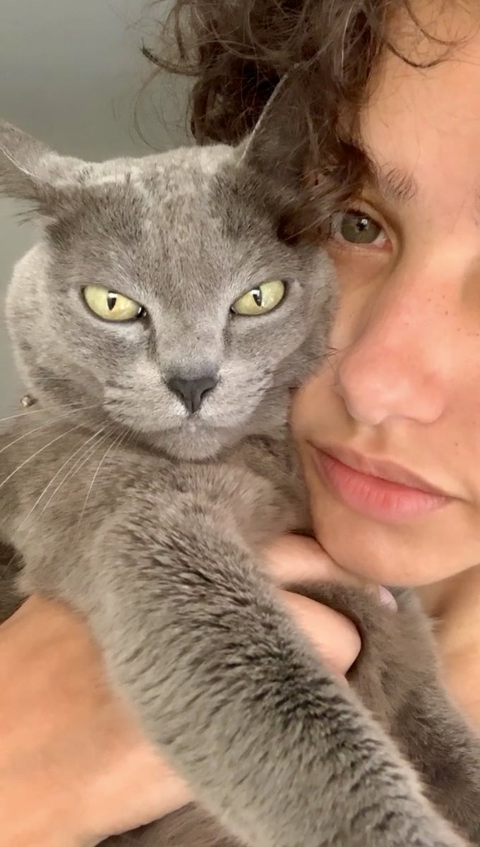 SamiaSenna's tweet photo. Amo demais 💖 
#cat #love #pet #morning https://t.co/Q2W3atf2MU