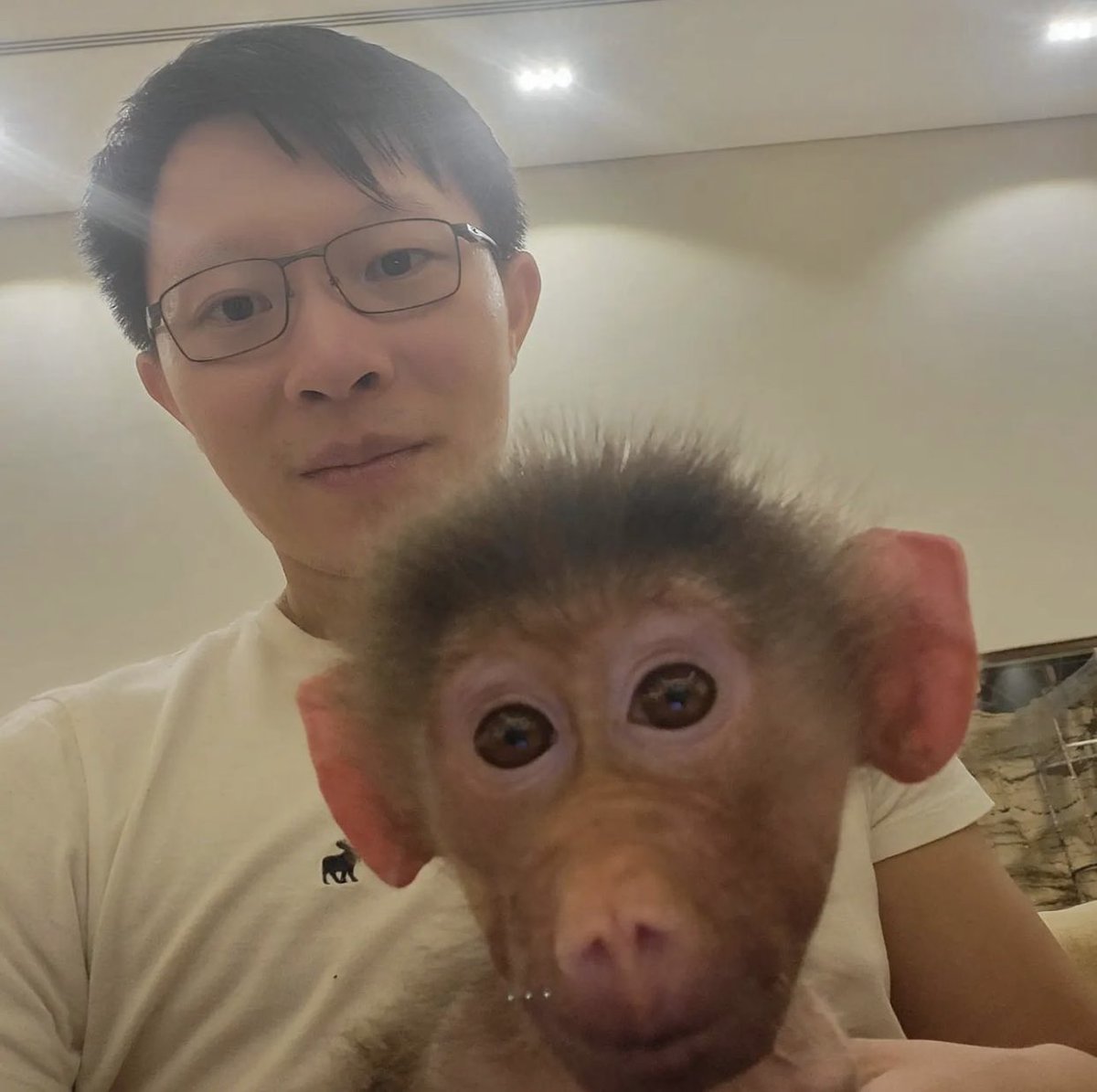 baldr (@xbaldr) on Twitter photo 