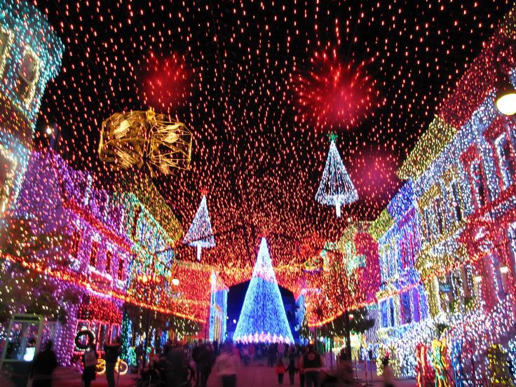 WDW Tales Podcast tweet media