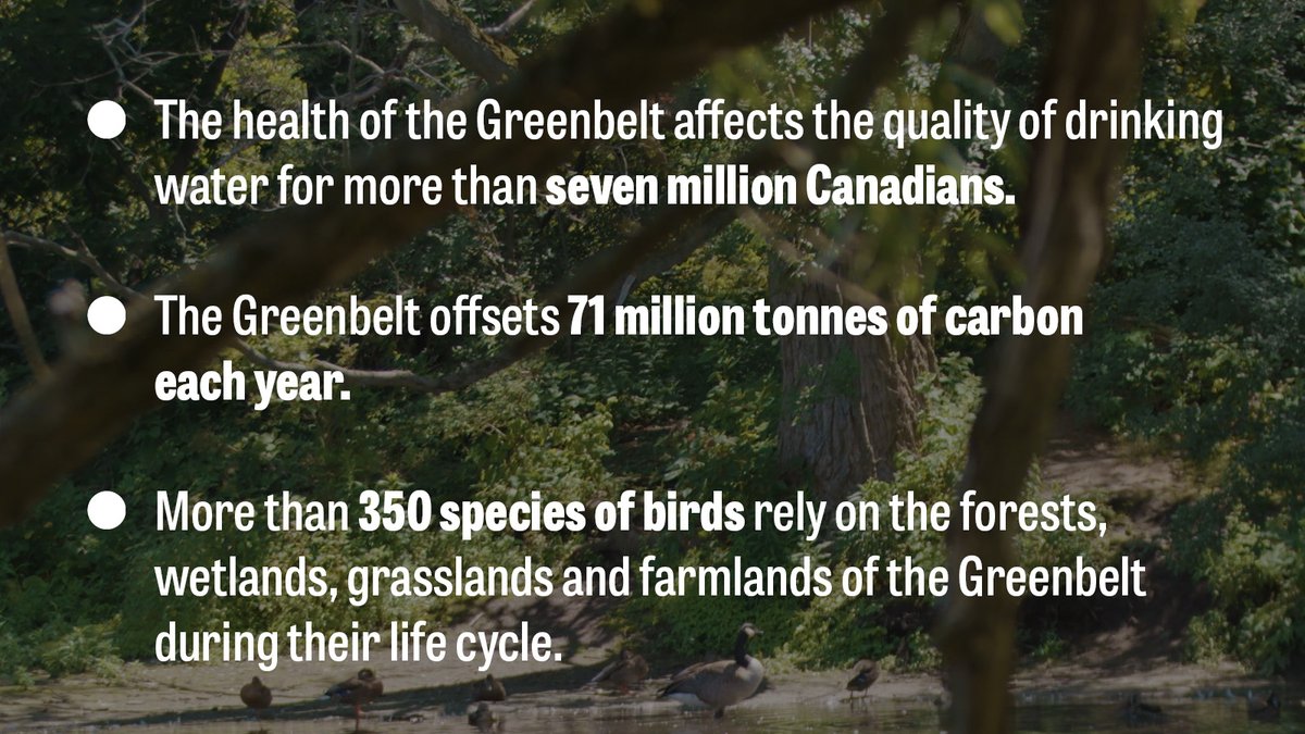 Greenbelt Foundation tweet media