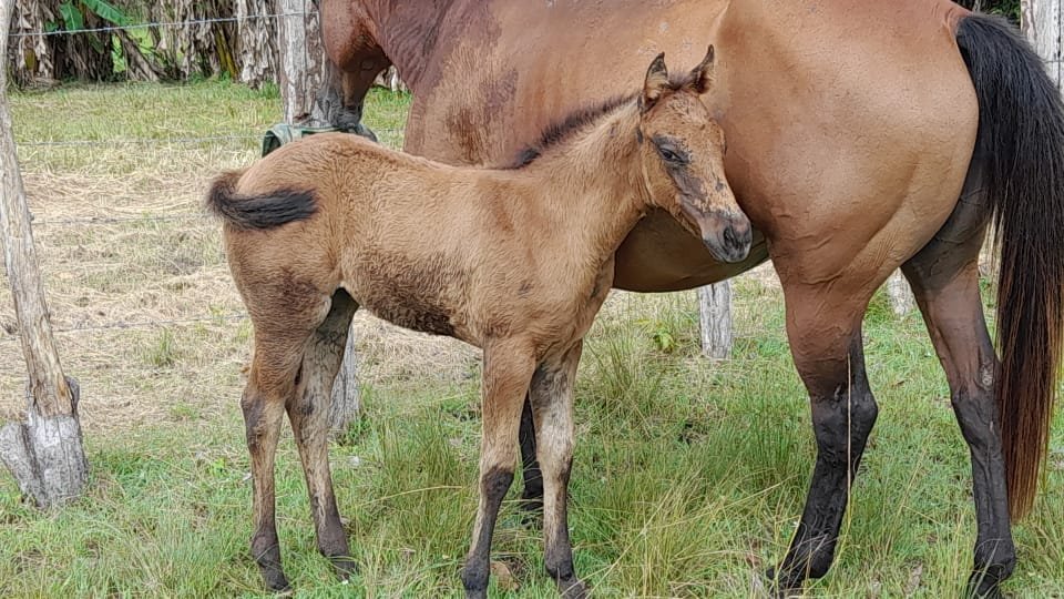 Julio E. Botello G. tweet media