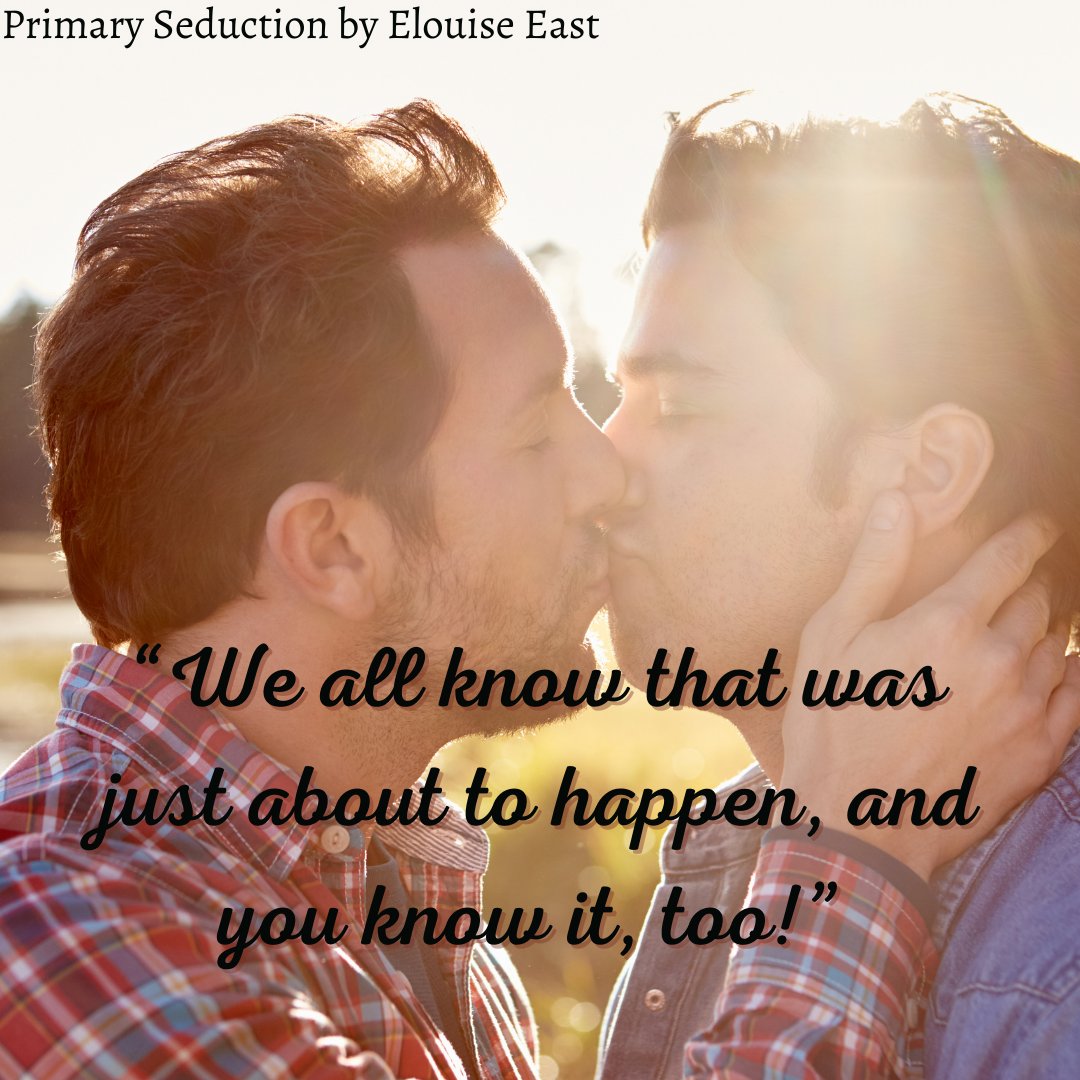 Primary Seduction by Elouise East
readerlinks.com/l/1567093
How do they support each other through the trials and tribulations of not only a new, unexpected relationship but also family and lifestyle differences.
#mmromance #lgbt