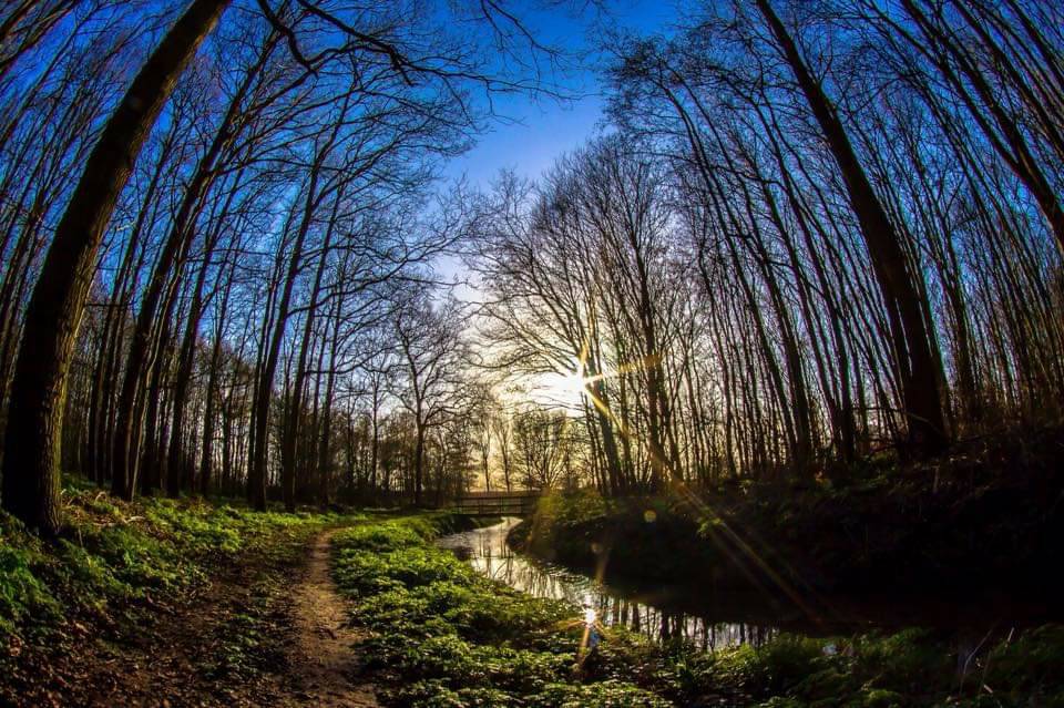 Comment with your zodiac sign!