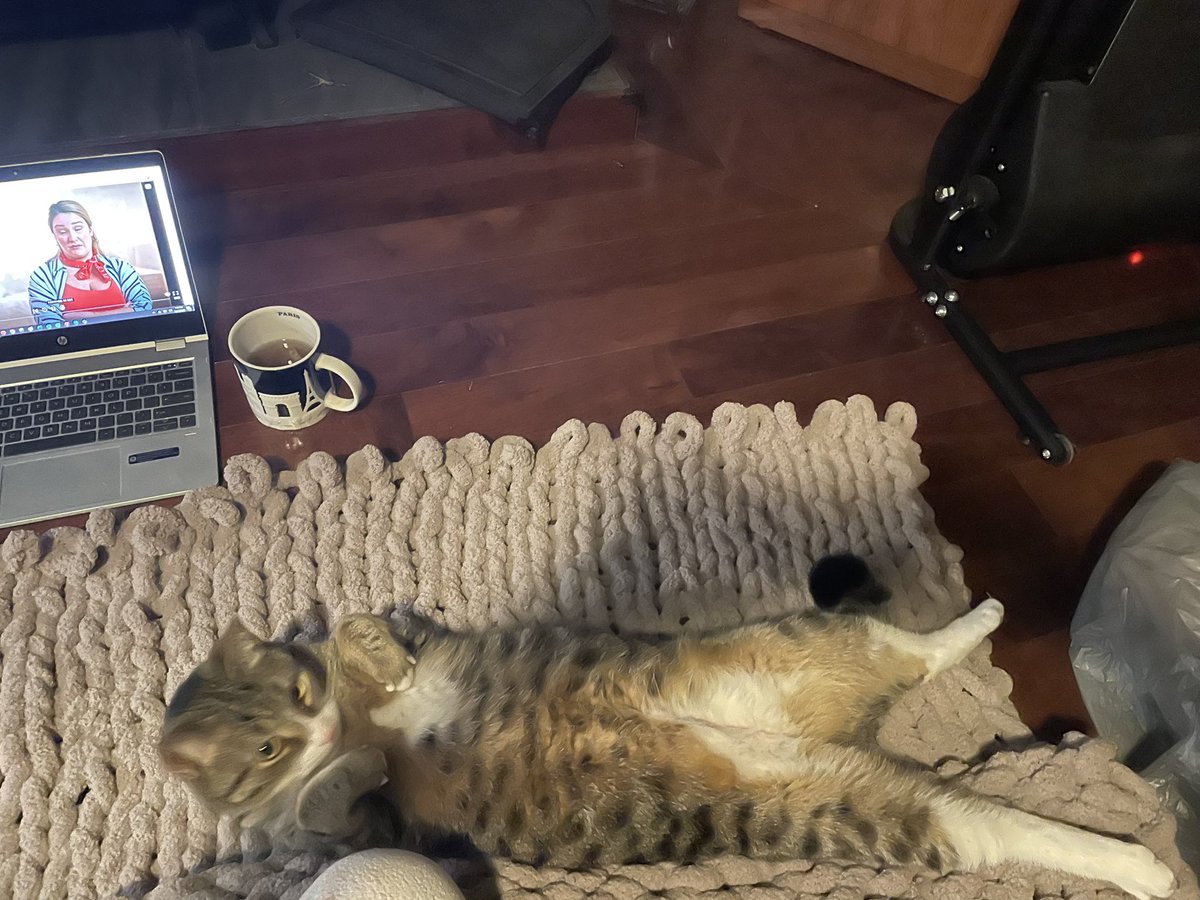 BeabullAris's tweet photo. Mom working on a new blanket… I think I look good here
~Simba #CatsofTwittter https://t.co/KapJ2G0ZIQ