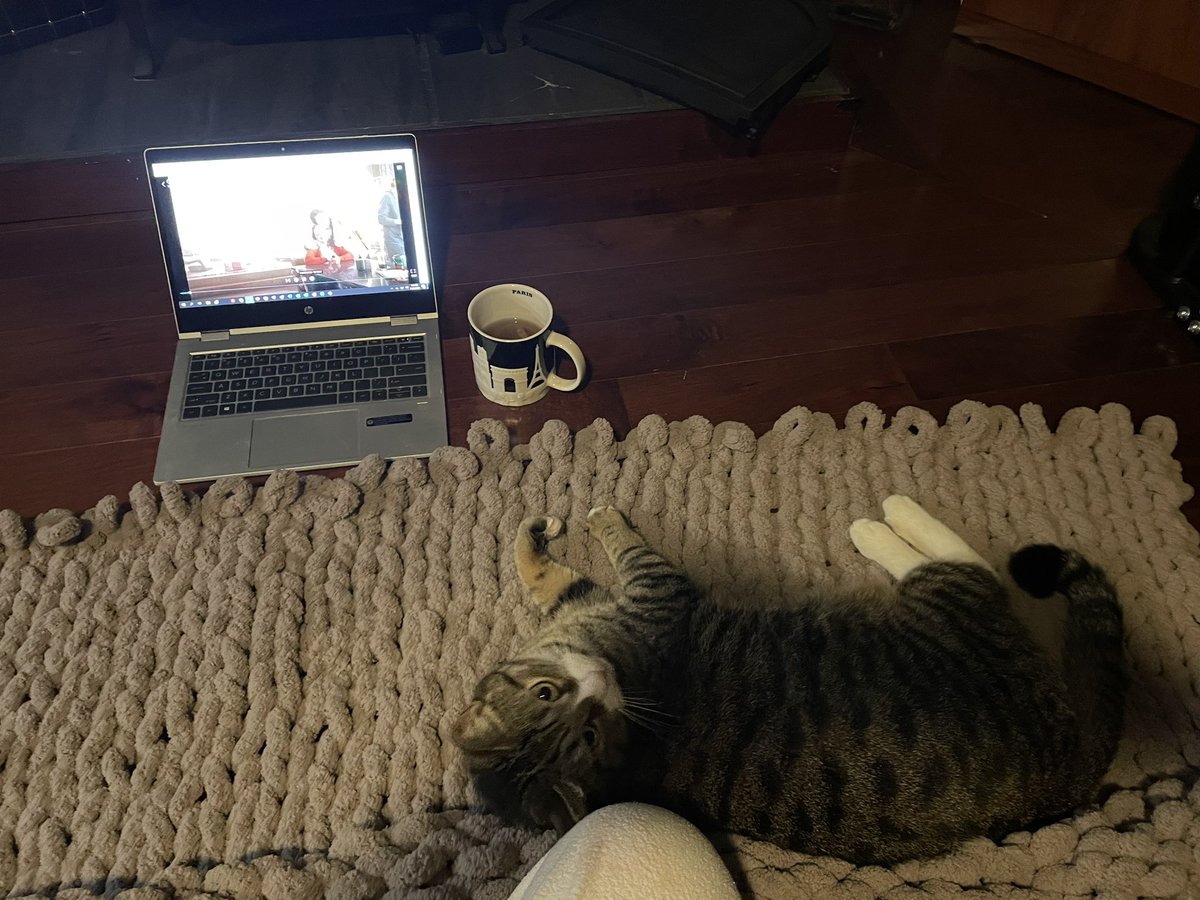 BeabullAris's tweet photo. Mom working on a new blanket… I think I look good here
~Simba #CatsofTwittter https://t.co/KapJ2G0ZIQ