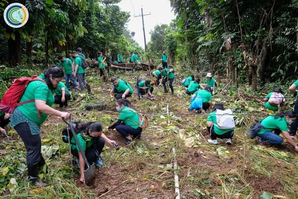 CCCPHL's tweet photo. The #CCCWeek2022 kicked off Saturday with the planting of 200 Narra, Dao, and Sablot seedlings at the La Mesa Nature Reserve by @cccphl and partner agencies and organizations, including indigenous peoples and the youth. https://t.co/K3pAQdsWz9